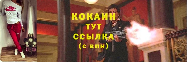 дживик Баксан