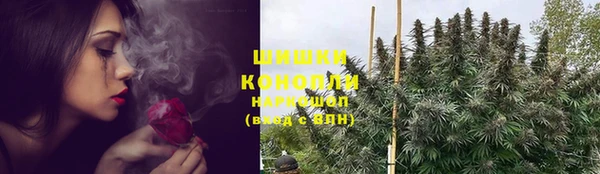 дживик Баксан
