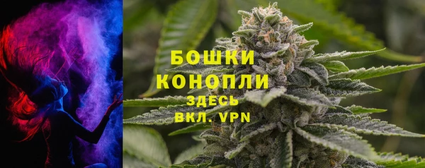 дживик Баксан